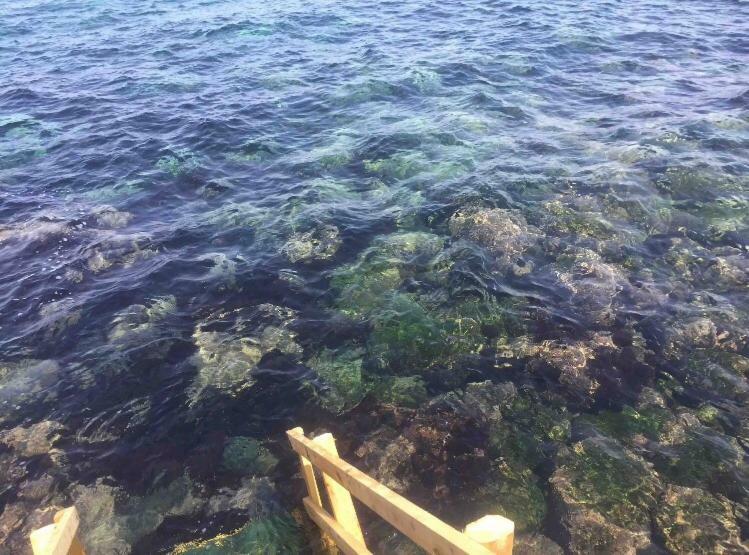 Gioia Villa Acireale Dış mekan fotoğraf